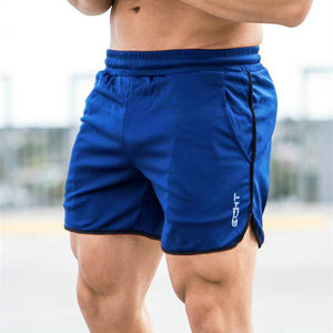 New Men Fitness Bodybuilding Shorts Man Summer Workout Male Breathable Mesh Quick Dry Sportswear Jogger Beach Short Pants